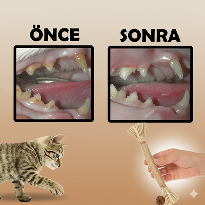 Doğal Çiğneme Çubuğu