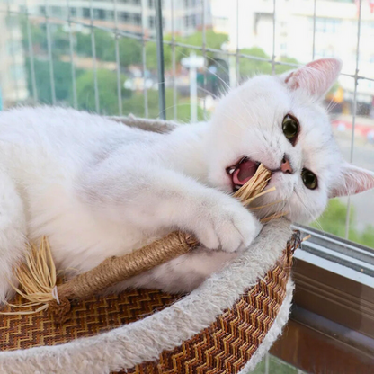 Doğal Çiğneme Çubuğu