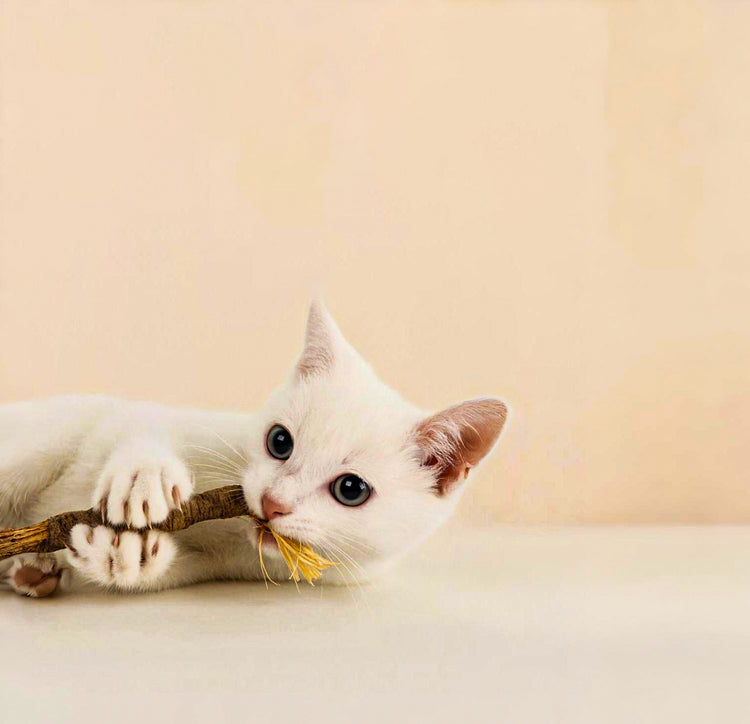 Doğal Çiğneme Çubuğu