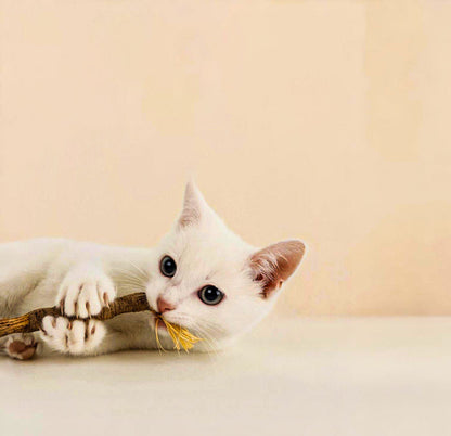 Doğal Çiğneme Çubuğu