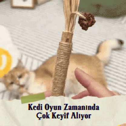 Doğal Çiğneme Çubuğu